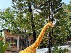 -渔人码头(洛溪店)