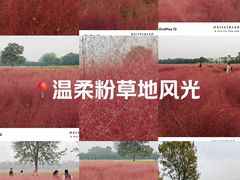 -汉长安城未央宫国家考古遗址公园