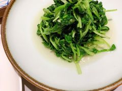 清炒鸡毛菜-屋里厢上海菜馆