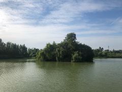 -白鹭湾湿地公园