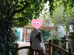 -山大王菌莊