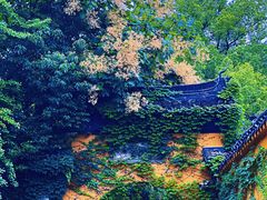 -西园戒幢律寺