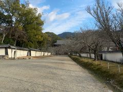 -醍醐寺