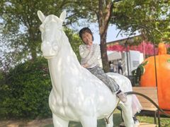 -苏州太湖西山岛开心农场