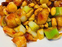 宫保鸡丁-黑窑厂糖油饼烤鸭·清真菜(旗舰店)