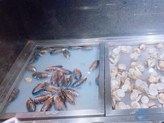 -济南蓝海御华大饭店·蓝钻国际美食自助百汇(山东书城店)