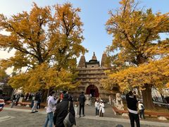 -聚首堂·特色小吃·肘子(什刹海德胜门店)