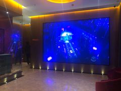 -星聚会KTV(苏州尹山湖歌林公园店)