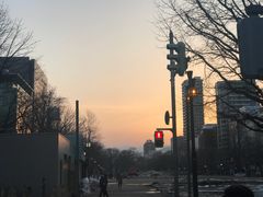 -北海道厅旧本厅舍(旧本庁舎)