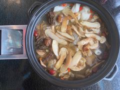 老鸡汤-蘑统田下·野生菌火锅