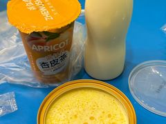 -德禄酸奶(莫家街店)