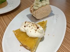 -猫里有甜