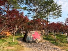 -广州市帽峰山景区