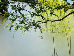 -上海醉白池公园
