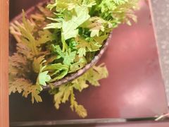 -哥老官重庆美蛙鱼头(宝山龙湖店)