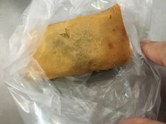 春卷-胡荣泉