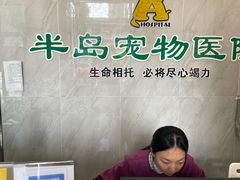 -半岛宠物医院24小时(科华中路店)