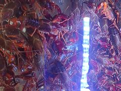 -虾铺子龙虾·私房菜(金源花苑店)