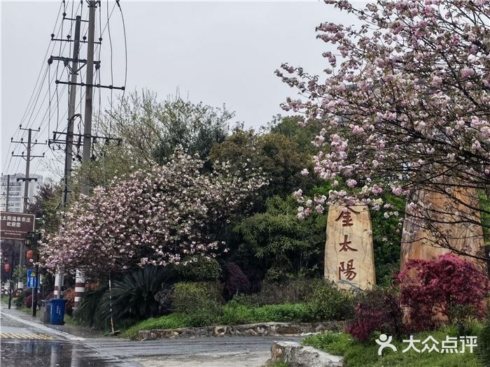 宁乡泡温泉发现的一家宝藏湘菜馆
