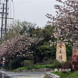 宁乡泡温泉发现的一家宝藏湘菜馆