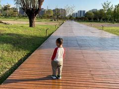 -汉长安城未央宫国家考古遗址公园