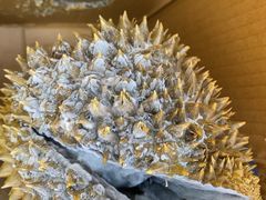 -东方鼎信农副产品交易中心