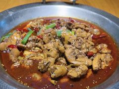 -成老灶火锅鸡(平山店)