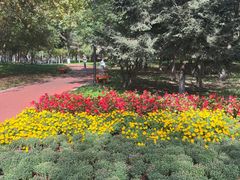 -黛秀湖公园