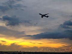 -宝安西湾红树林湿地公园