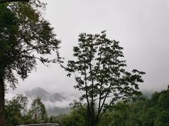 -黑河国家森林公园