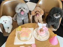 -Oh My Dog宠物沙龙(伊珊娜皮毛护理店)