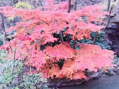 -狼山风景名胜区