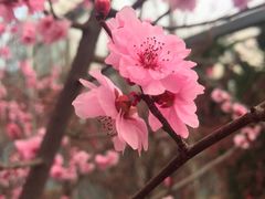 -北京鹫峰国家森林公园