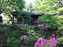 -上海醉白池公园