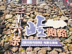 -桑洲油菜花景区