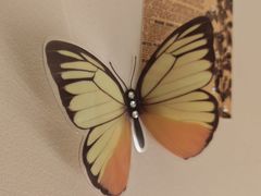 -拣JAN·西厨料理(悦汇城店)