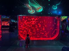 -沈阳海洋探索中心