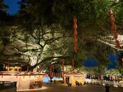 -仓山金山寺