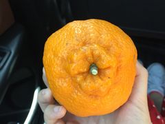 -百果园(奕淳公寓店)