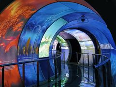 -房山世界地质公园博物馆