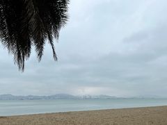 -黄老伯的海蛎煎