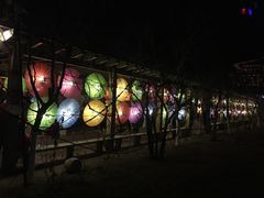 -金城公园