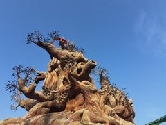 -鹦鹉过山车