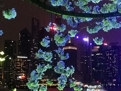 -上海港国际客运中心
