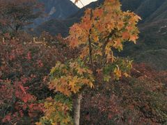 -水峪民俗村