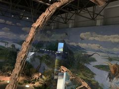 -自贡恐龙博物馆