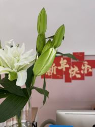 -LISSOM莉森 Nail ·美甲美睫原创定制店