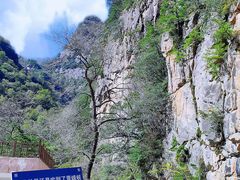 -青峰峡国家森林公园