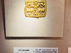 -呼和浩特博物馆
