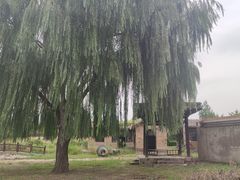 -盛世南宫影视城(北普陀影视城)